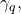 \gamma_q,
